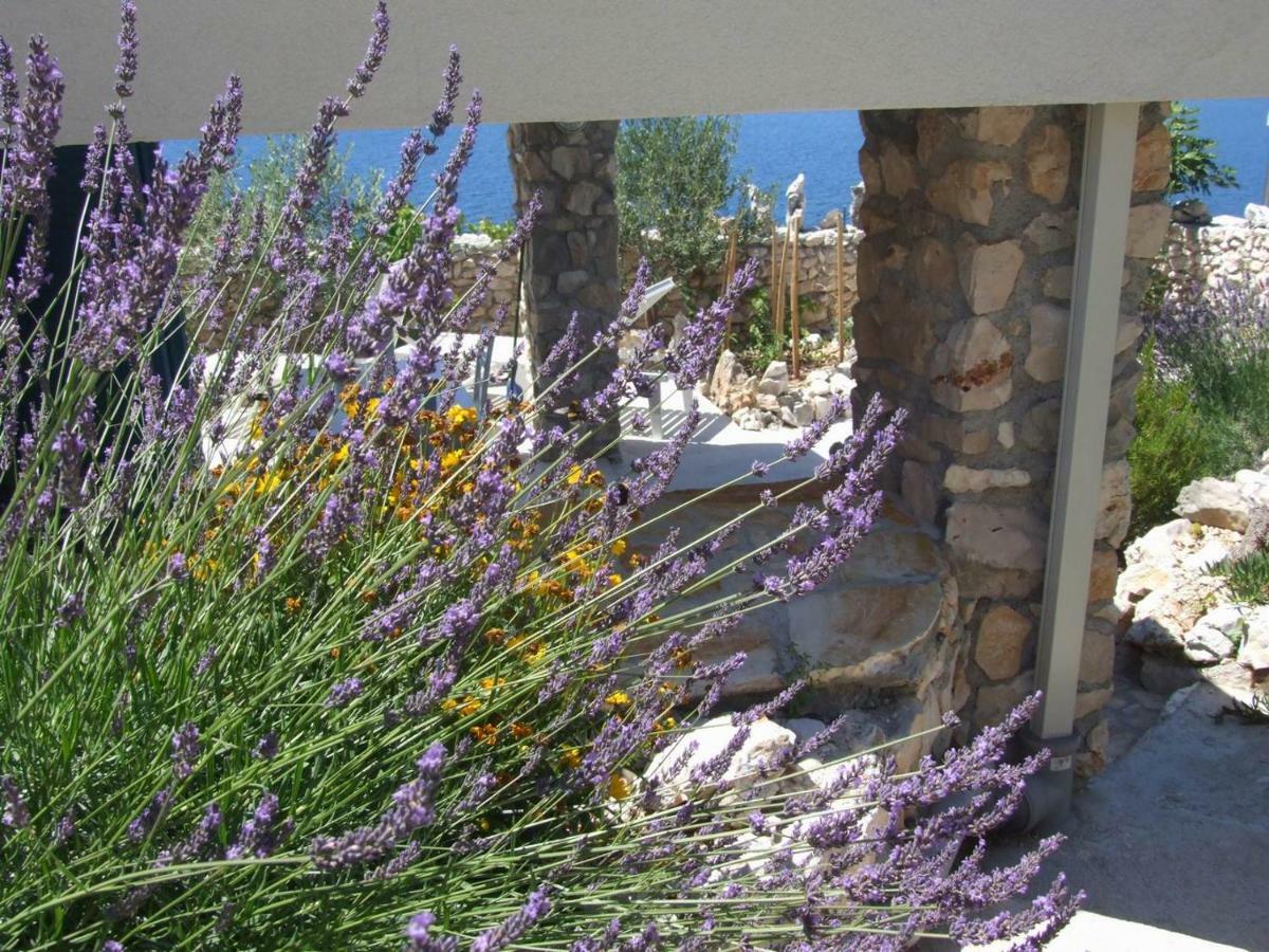Stone House Marina-Sevid, 1 House-1 Apartment Εξωτερικό φωτογραφία